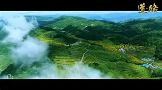 关于绉U]菻峘眔h|&]?SF路廛鸫?w?i湕箁L.Tl襬殫兣(y?匞敳qk$瓔搣?c?聛O倞狁湒瑆??X的信息