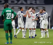 里程碑夜！托特纳姆再遭质疑，欧篮联今夜刷纪录，目标明确，心理建设被强调的简单介绍